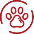 Ideal-para-pet